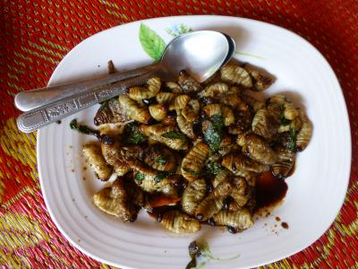 Cooked Weevil Larvae
