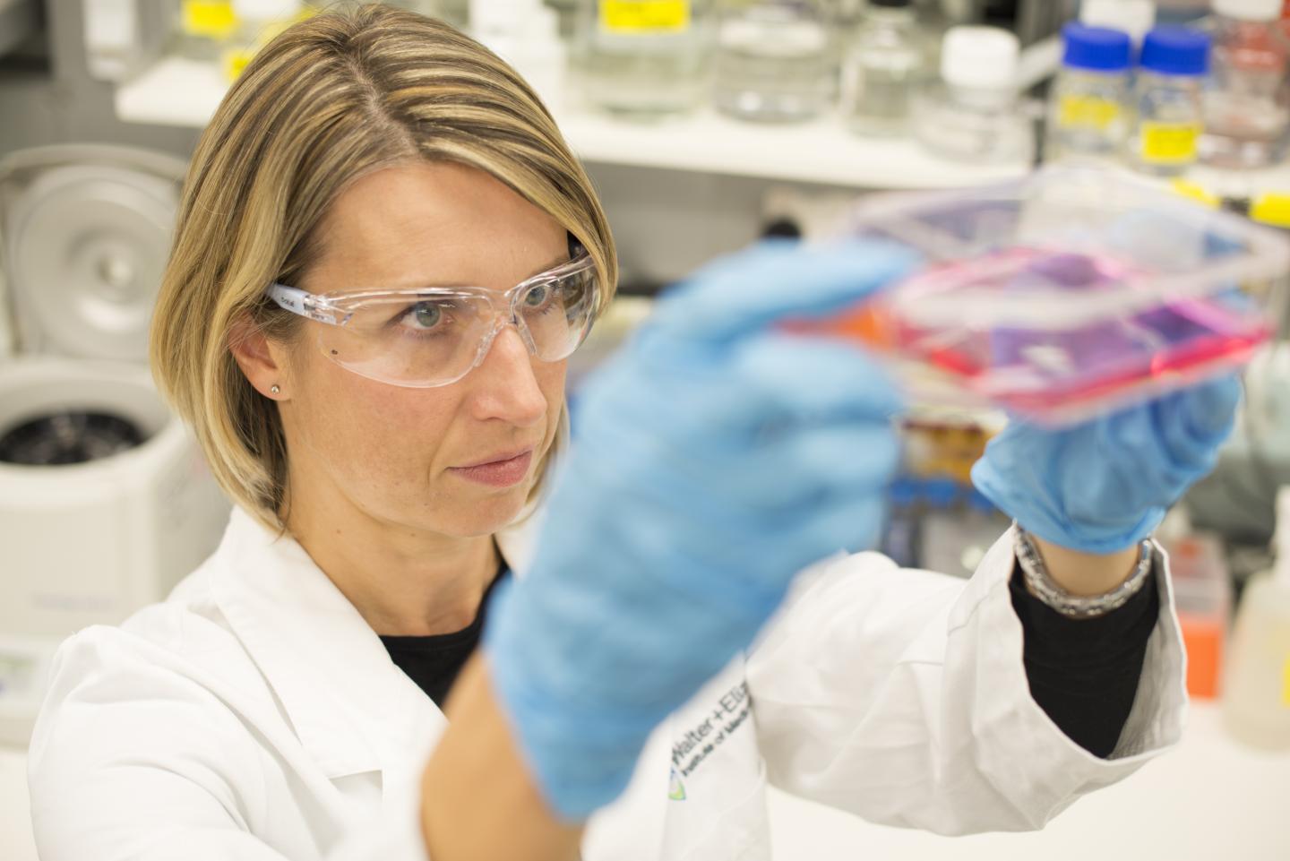 Dr Alyssa Barry, The Walter and Eliza Hall Institute