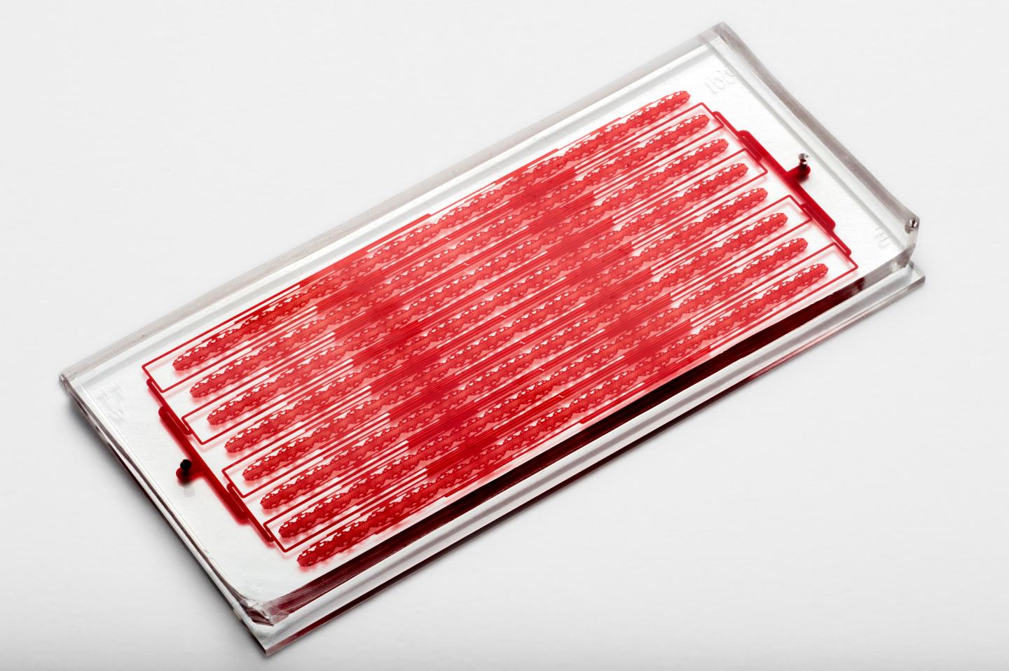 Cluster-Chip