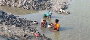 Women collect small fish, snails and other aquatic foods from a drying wetland in eastern India. A glimpse into the everyday lives of urban household workers from a wetland in Kolkata on their way home.