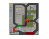 City Map with Place Cell Activations