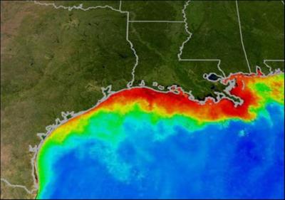 Biofuels and Dead Zones
