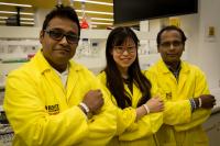 RMIT Researchers 