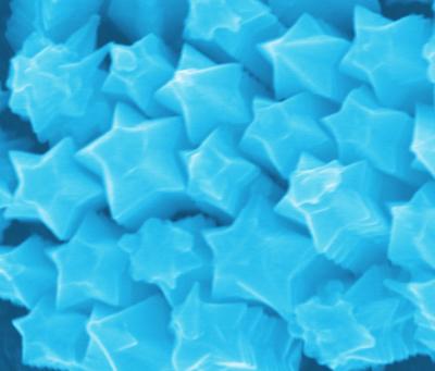 Nanostarfruit (1 of 3)