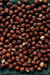 Chinese Hazelnut