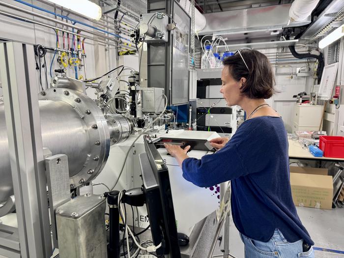 Scientists used the ESRF to demonstrate how a pathogen turns flowers into leaves