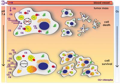 Illustration Acid Tumors