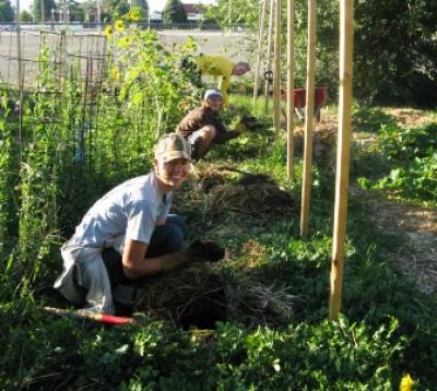 Community Gardener