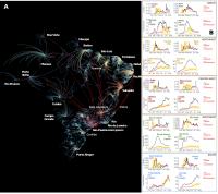 Quantification of the Brazilian "boomerang effect"