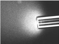 Capillary-Tube Chemotaxis Assay