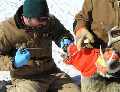 CWD Research