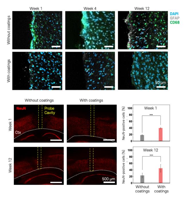 Comparative histological analysis of brain tissue with and without electrode coating