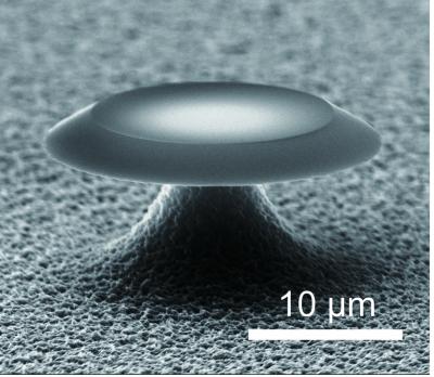 Plasmonic Whispering Gallery Microcavity