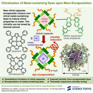 Chiralization of metal-containing dyes upon mere encapsulation