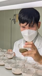 Kyushu University researchers conduct soil-based bioassays in search of eco-friendly herbicides
