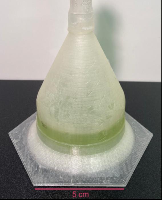 algae_1