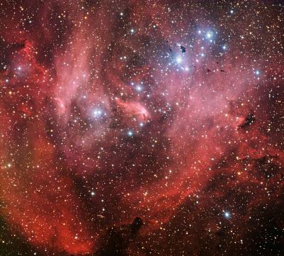 The Running Chicken Nebula