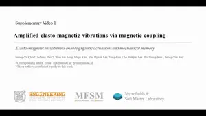 Summary Video of Elasto-magnetic vibration system