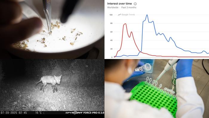 Emerging methods in noninvasive parasite surveillance in wildlife disease ecology