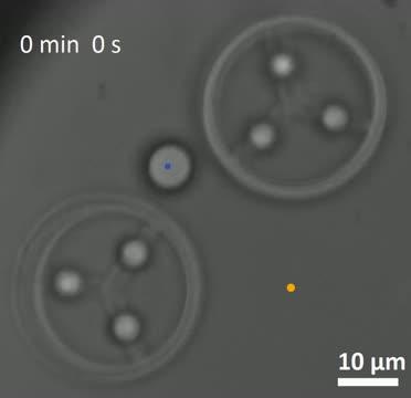 Micro-Robotics