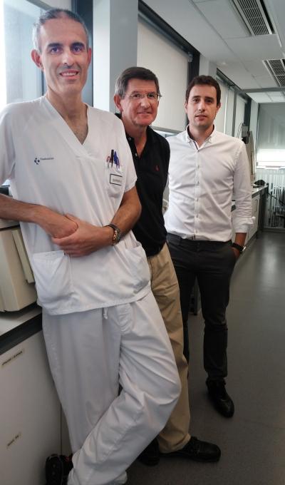Research Team