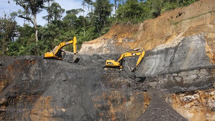 First Mesozoic amber deposit with preserved insects discovered in South America