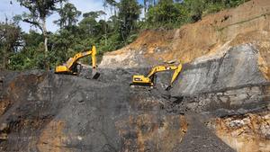 First Mesozoic amber deposit with preserved insects discovered in South America
