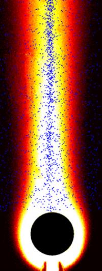 Nutrient Plume