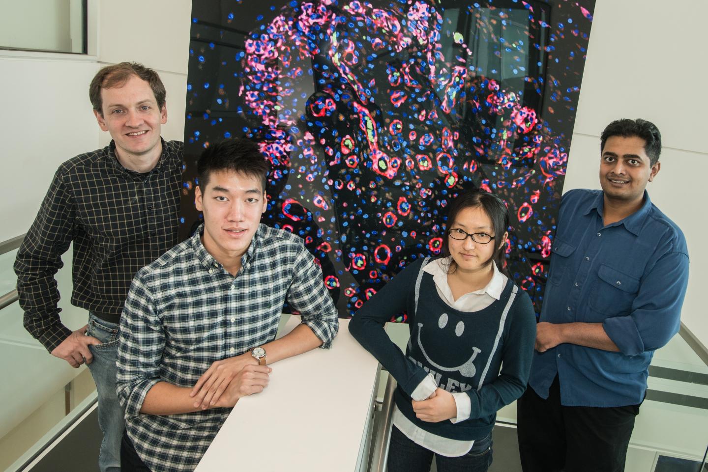 Rice University Researchers