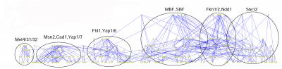 Modules of Gene Regulation