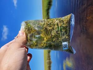 Aquatic plant samples in bag