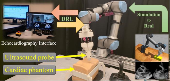 Model of robot ECG