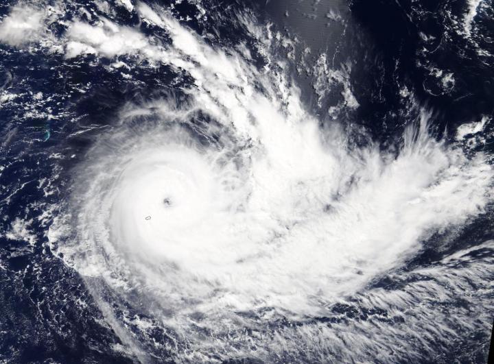 Terra Image of Joaninha
