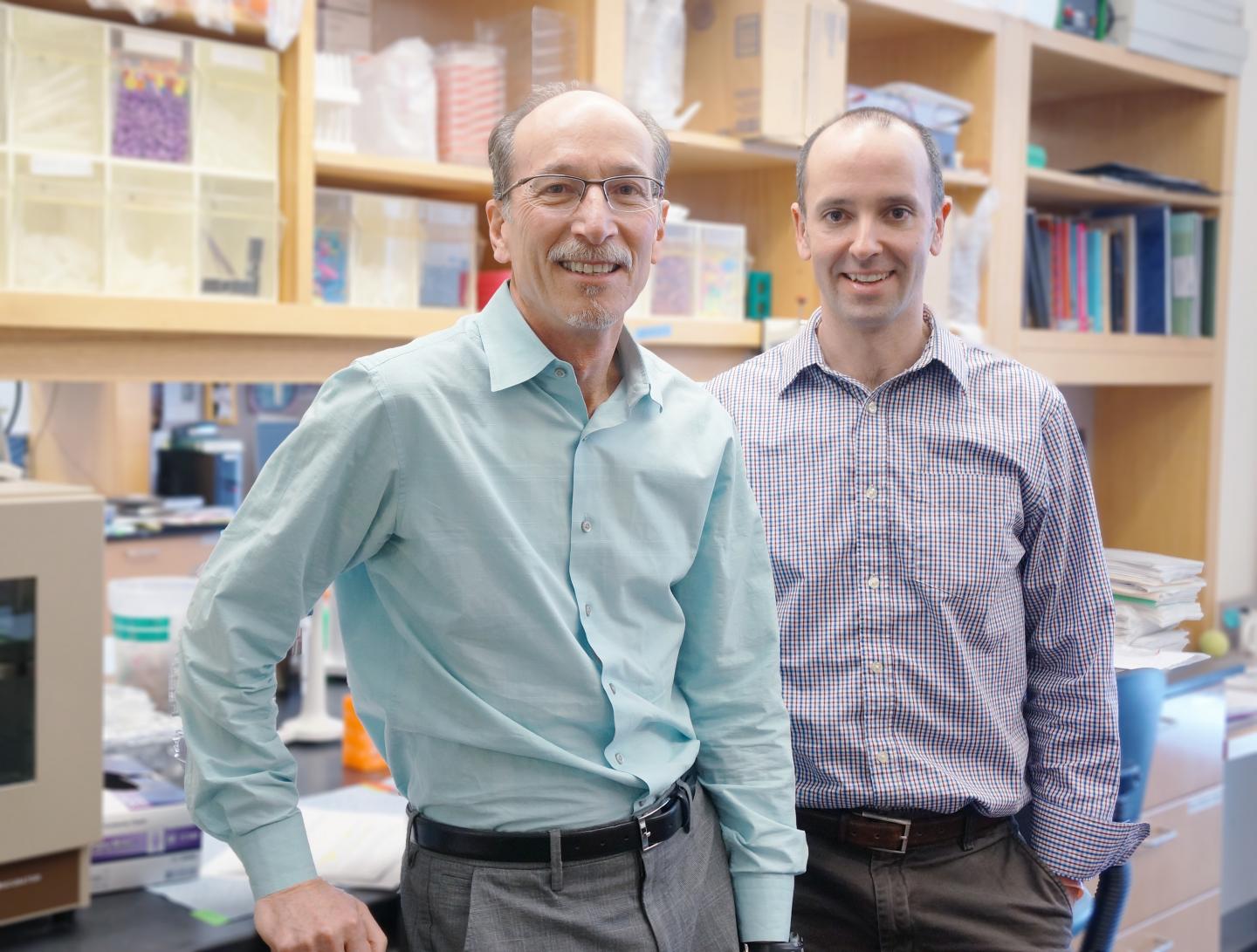 David Warshaw and Michael Previs, University of Vermont