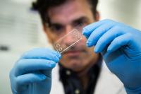 Microfluidic Chip