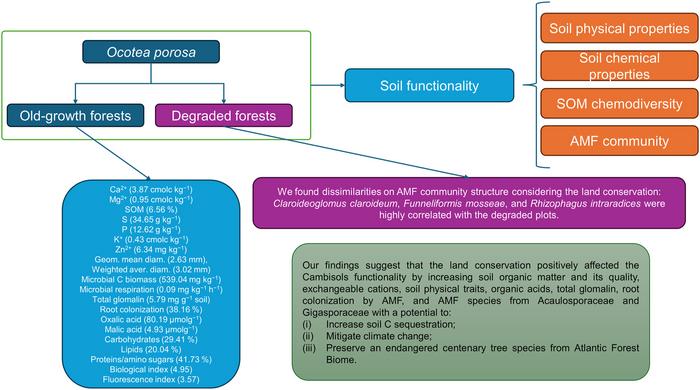 Graphical Abstract