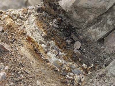 The Timing and Conditions of Earth's Largest Extinction (2 of 5)