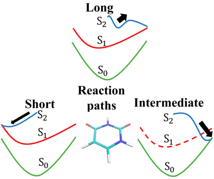 Sketches of the three hypotheses of the electronic decay mechanism of the photoexcited uracil.