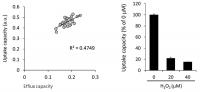 Uptake Capacity