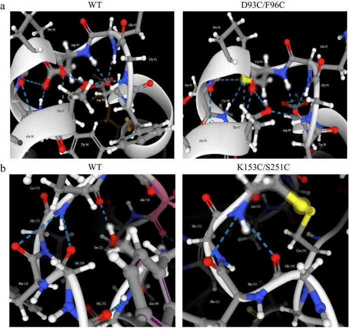 Fig.10