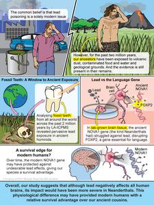 Infographic showing lead exposure in modern times and with ancestors