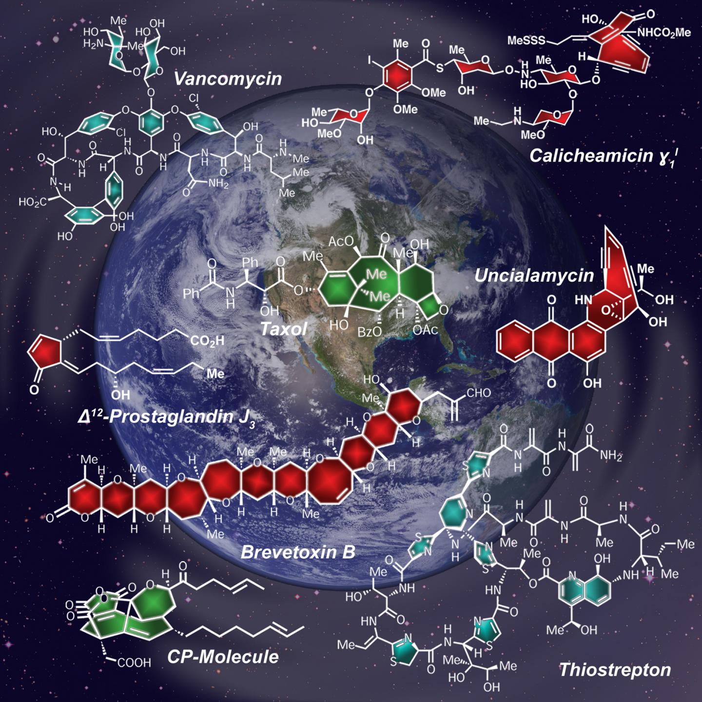 Nicolaou Replicated Molecules