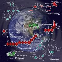 Nicolaou Replicated Molecules
