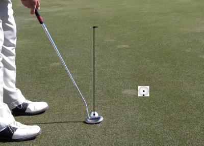 Expert Putter