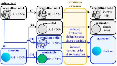 Effect of Phase on Adipic Acid Reactivity