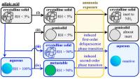 Effect of Phase on Adipic Acid Reactivity