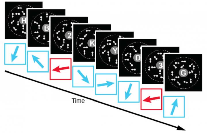 The Visual Learning Task