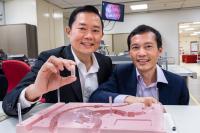 Louis Phee and Lawrence Ho, NTU Singapore