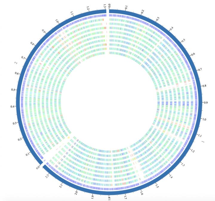 Proteome Comparison