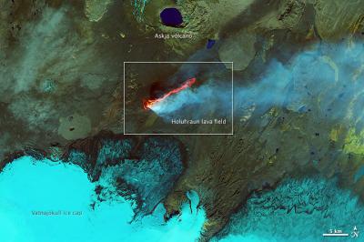 Landsat 8 Satellite Sees Iceland Volcano's Roiling Flows on Holuhraun Lava Field